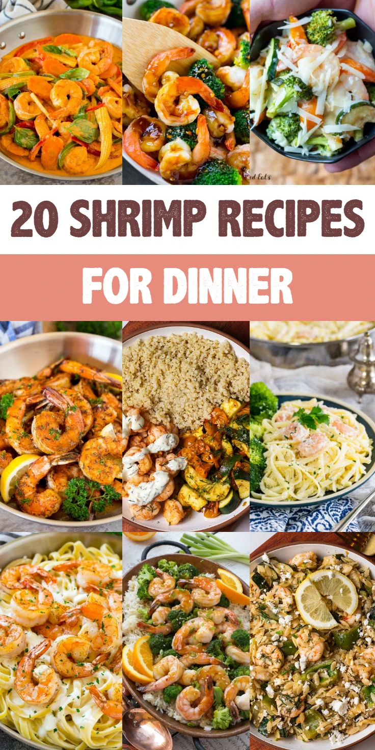 Shrimp Recipes For Dinner