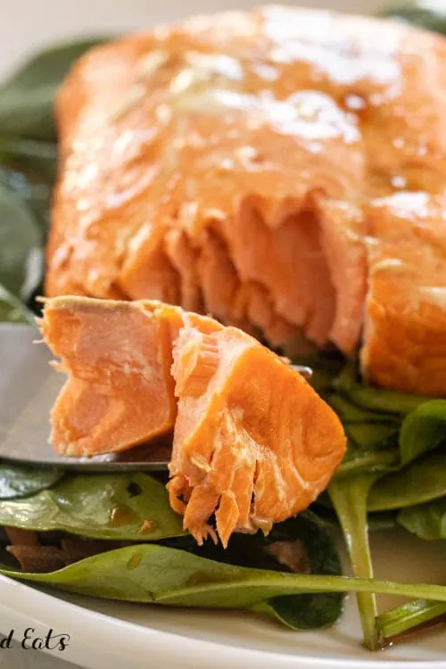 Air Fryer Frozen Salmon
