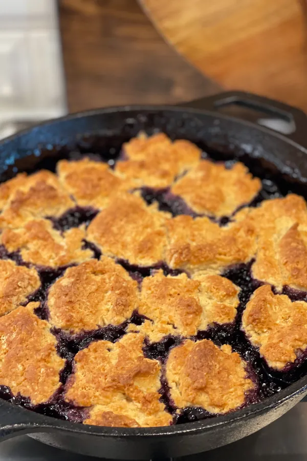 Cast Iron Blueberry Cobbler