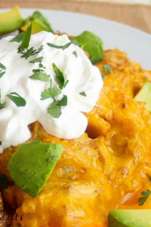 Chicken Fajita Nachos