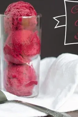 Concord Grape Sorbet