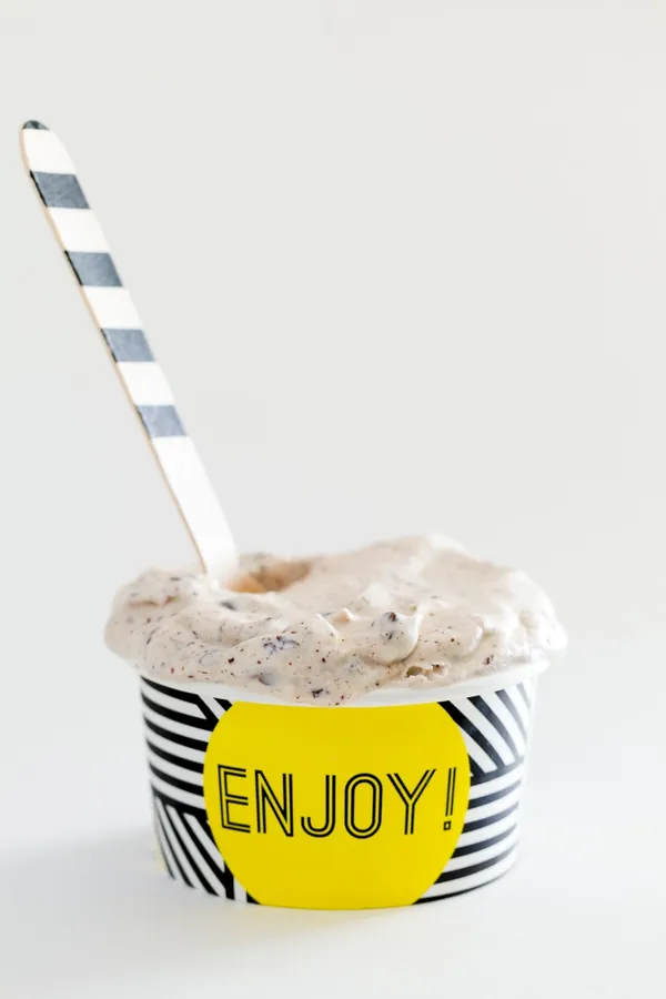 Copycat Ted Drewes Frozen Custard Recipe