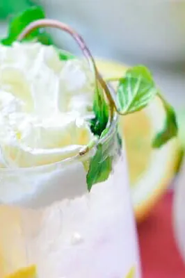 Homemade Sparkling Lemonade Recipe