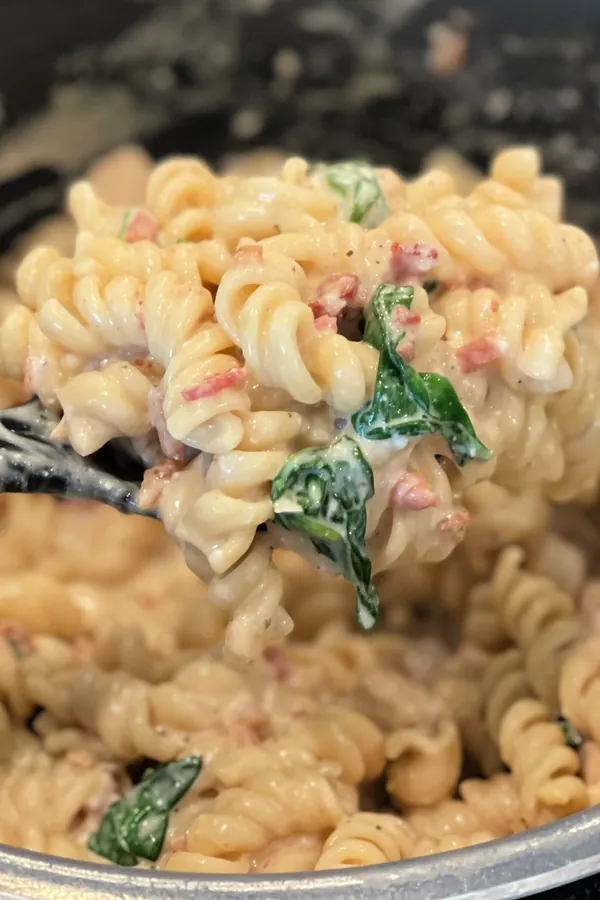 Instant Pot Chicken Bacon Ranch Pasta