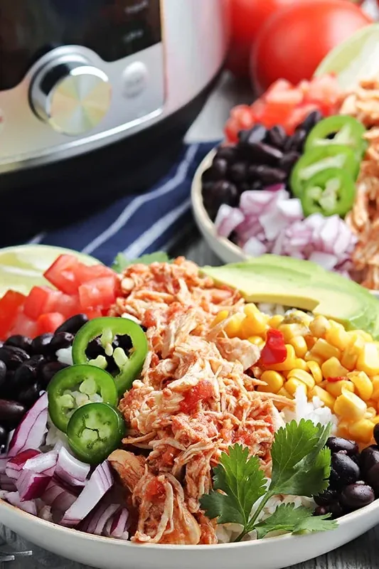 Instant Pot Salsa Chicken Recipe