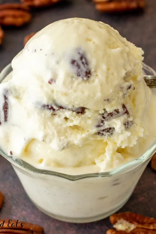 Keto Butter Pecan Ice Cream