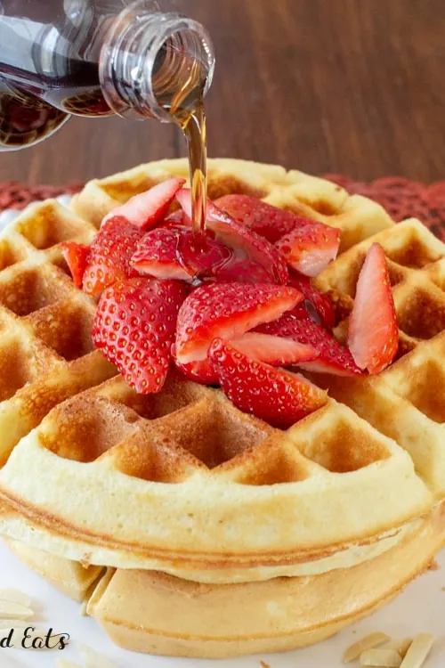Low Carb Waffles