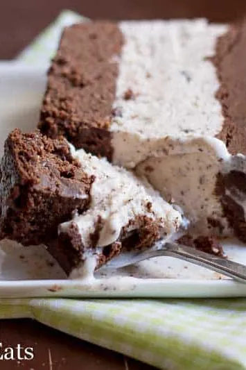 Mint Chocolate Chip Ice Cream Cake