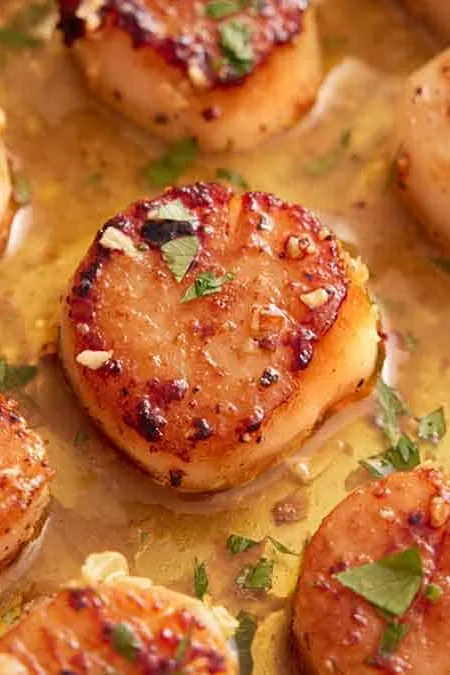 Seared Scallops