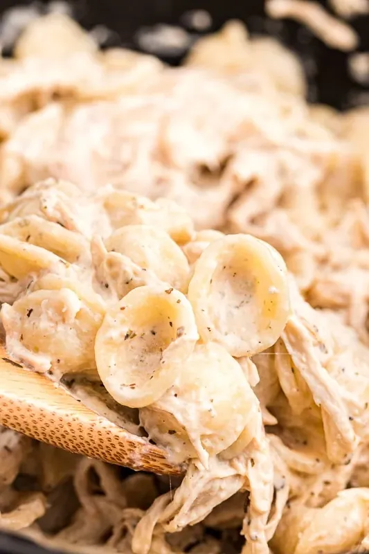 Slow Cooker Boursin Cheese Chicken Pasta