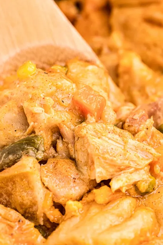 Slow Cooker Chicken and Biscuit Casserole