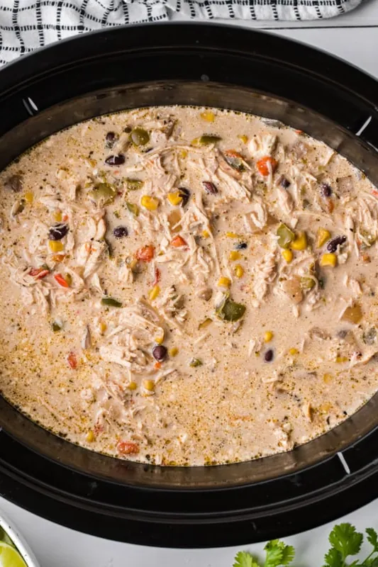 Slow Cooker Chicken Fajita Soup