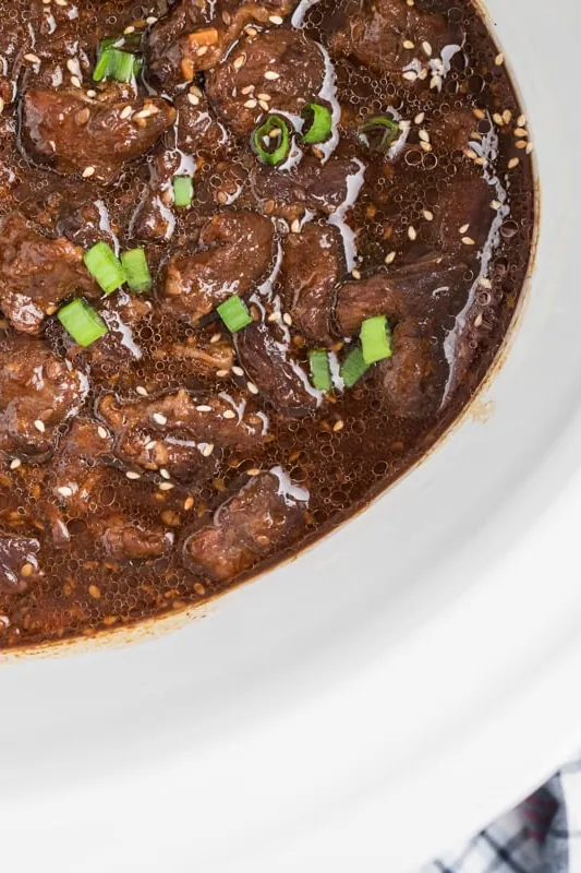 Slow Cooker Easy Teriyaki Beef Recipe