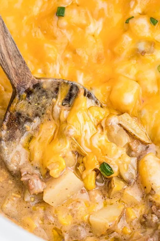 Slow Cooker Hamburger Hash