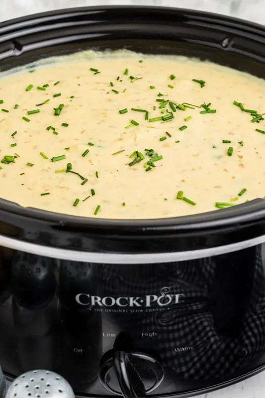 Slow Cooker Potato Leek Soup Recipe