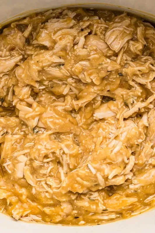 Slow Cooker Turkey and Gravy