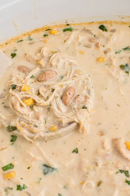 Slow Cooker White Chicken Chili