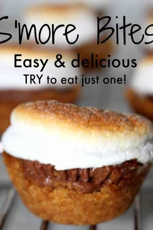 S'mores Bites