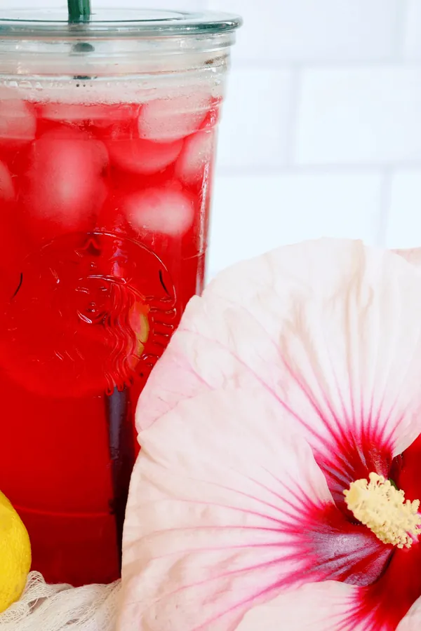 Starbucks Passion Tea Lemonade Recipe