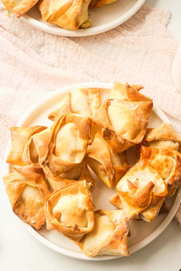 Air Fryer Wontons