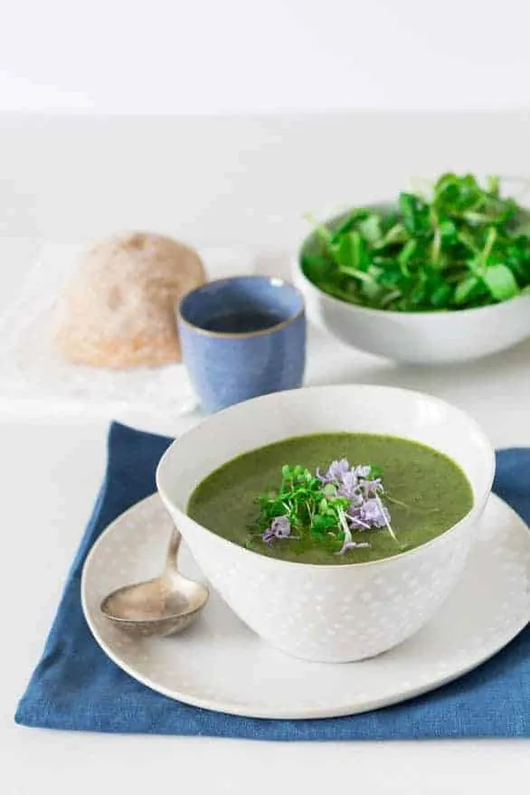 Creamy Rocket and Watercress Soup in the Multicooker Redmond
