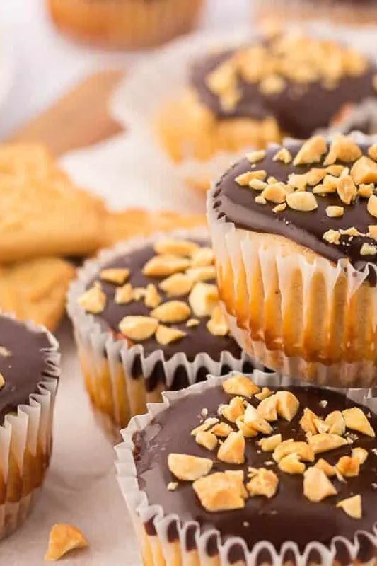 Mini Peanut Butter Cheesecakes with Chocolate Peanut Butter Sauce