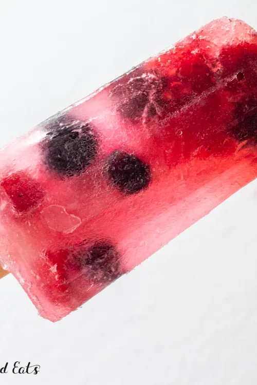 Sugar-Free Popsicles