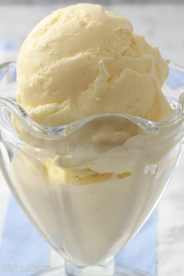 Vanilla Bean Ice Cream