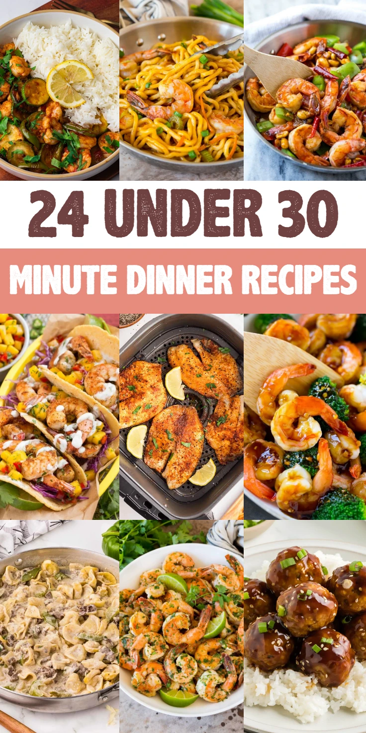 under 30-minute dinner recipes