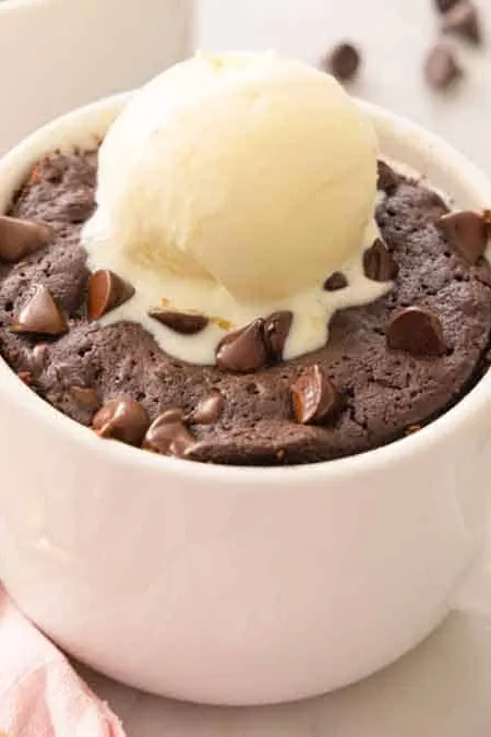 Brownie in a Mug