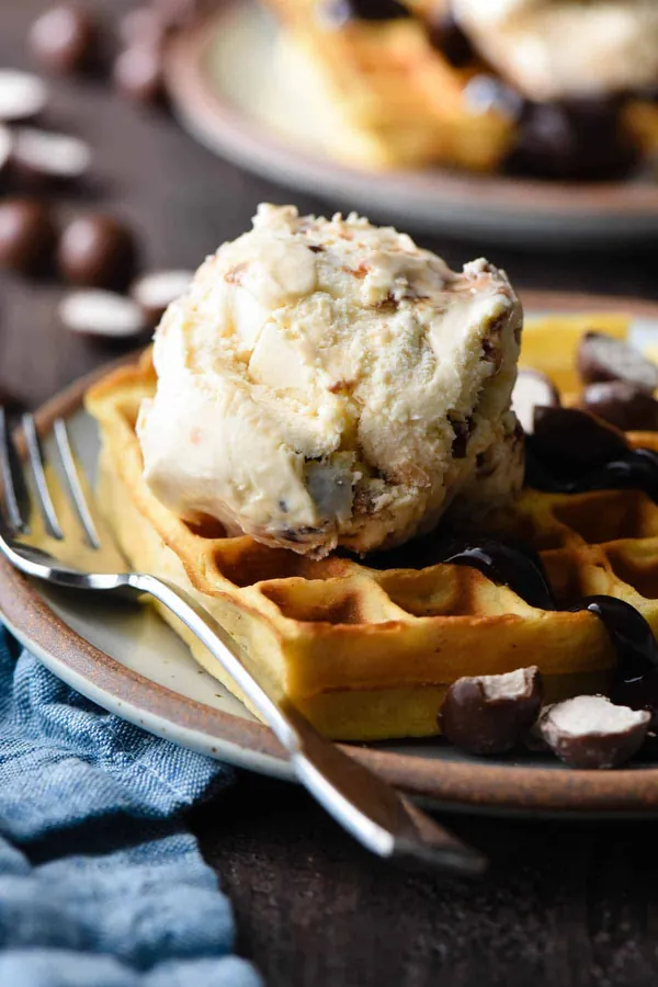 Malted Waffles & Ice Cream