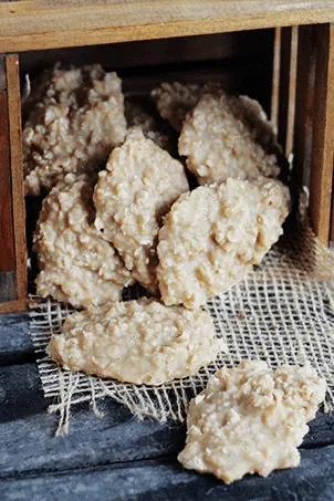 Peanut Butter No-Bake Cookies