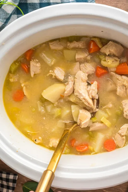 Slow Cooker Chicken Stew Recipe