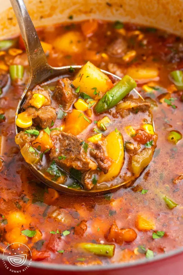 Vegetable Beef Soup