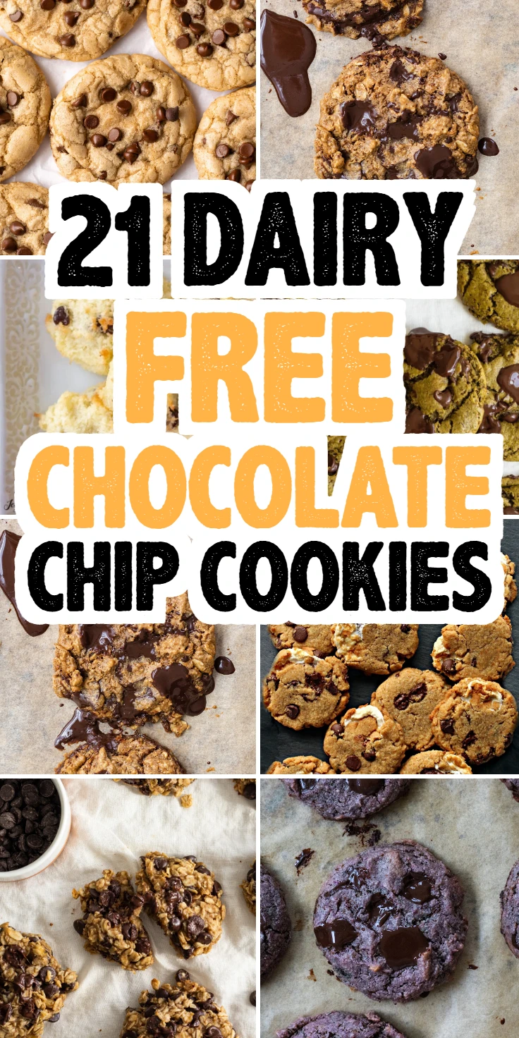 Dairy Free Chocolate Chip Cookies