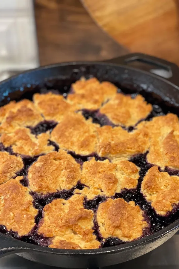 Cast Iron Blueberry Cobbler