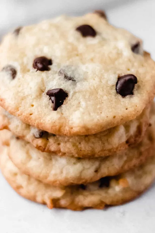 Chocolate Chip Coconut Cookies