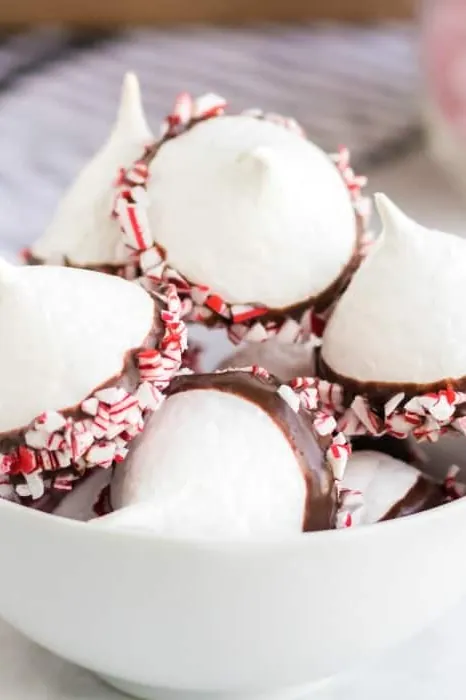 Chocolate Dipped Meringue Cookies