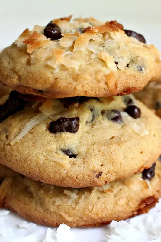 Coconut Milk Cookies