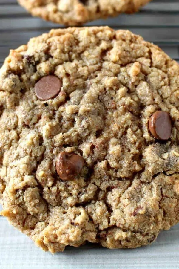 Copycat Neiman Marcus Chocolate Chip Cookies