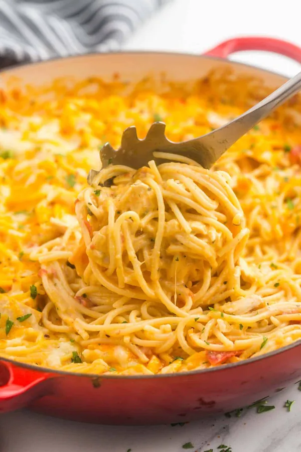 Creamy Chicken Spaghetti
