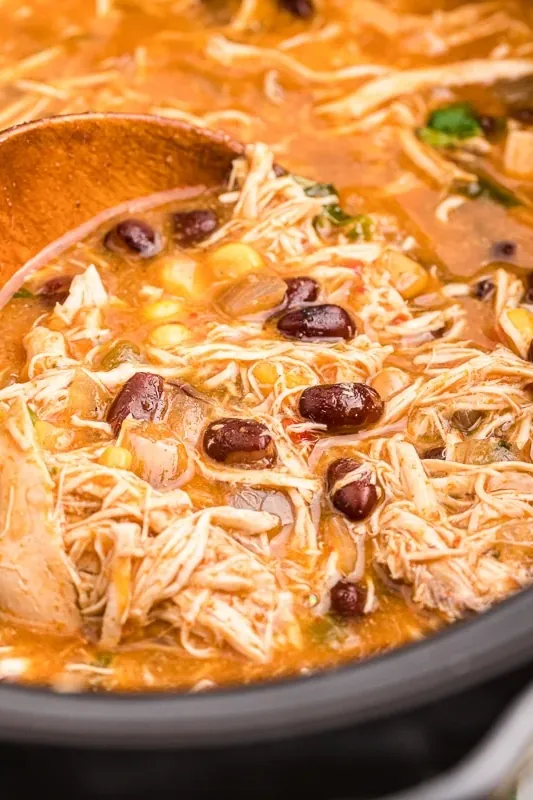 Crockpot Chicken Tortilla Soup Recipe (+Video)