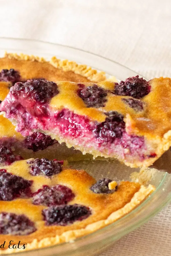 Keto Blackberry Pie