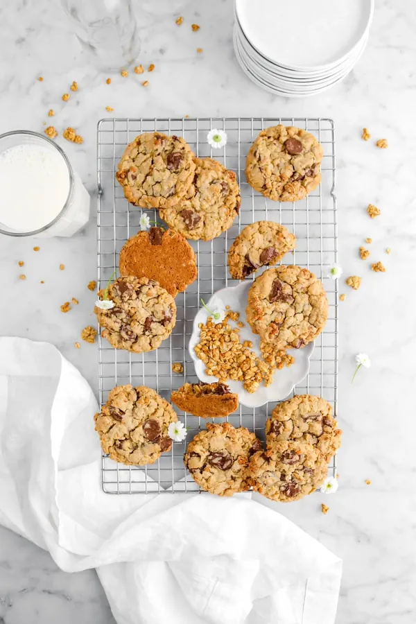 Oatmeal Chocolate Chip Granola Breakfast Cookies
