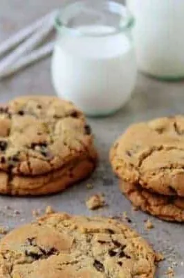Pistachio Cookies with Dark Chocolate Covered Pomegranate