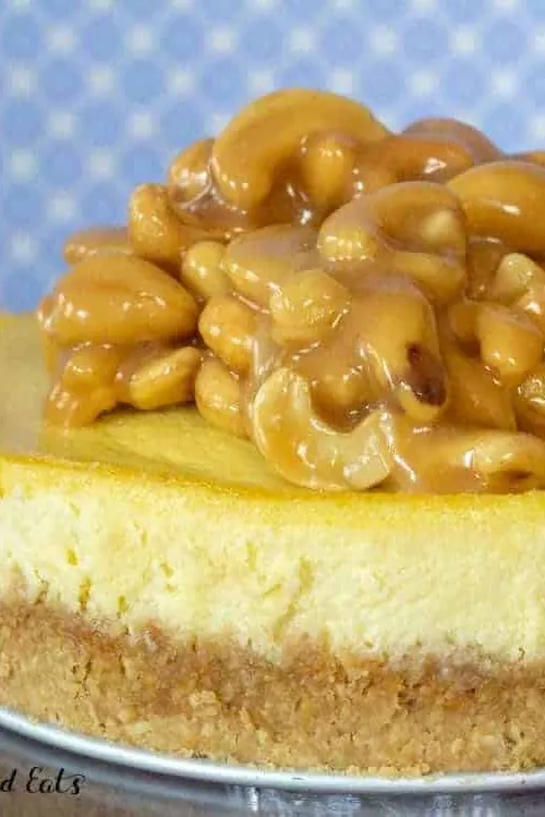 Salted Caramel Cashew Cheesecake