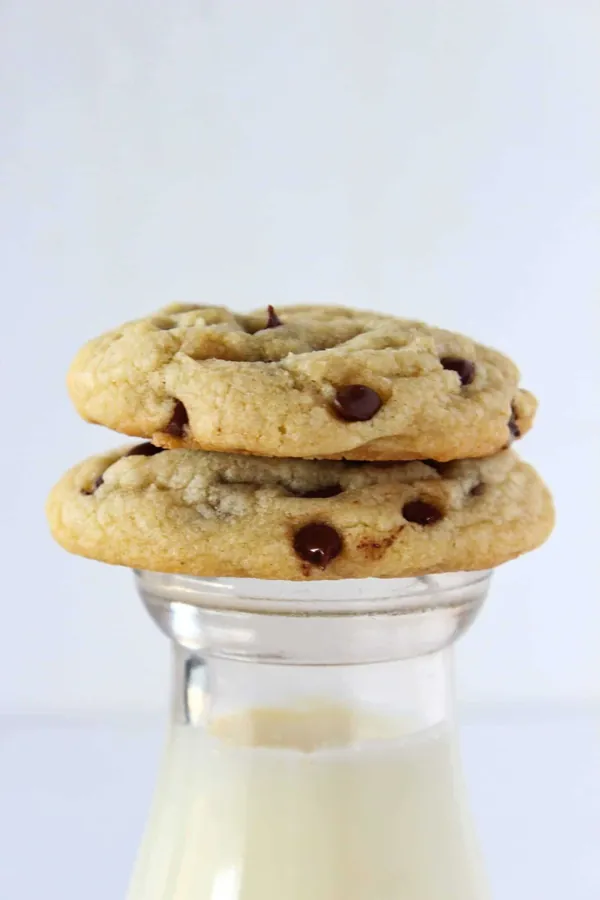 The BEST Soft Homemade Chocolate Chip
