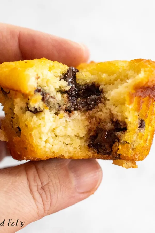 Almond Flour Chocolate Chip Muffins