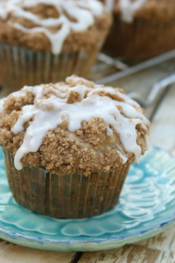 Apple Oat Muffins