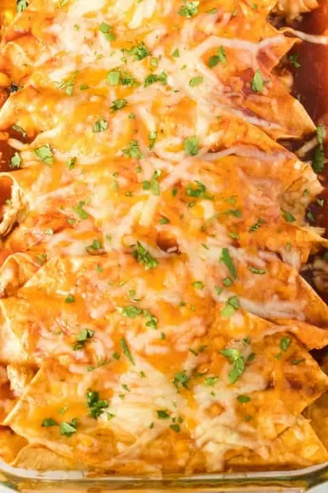 Best Chicken Enchiladas